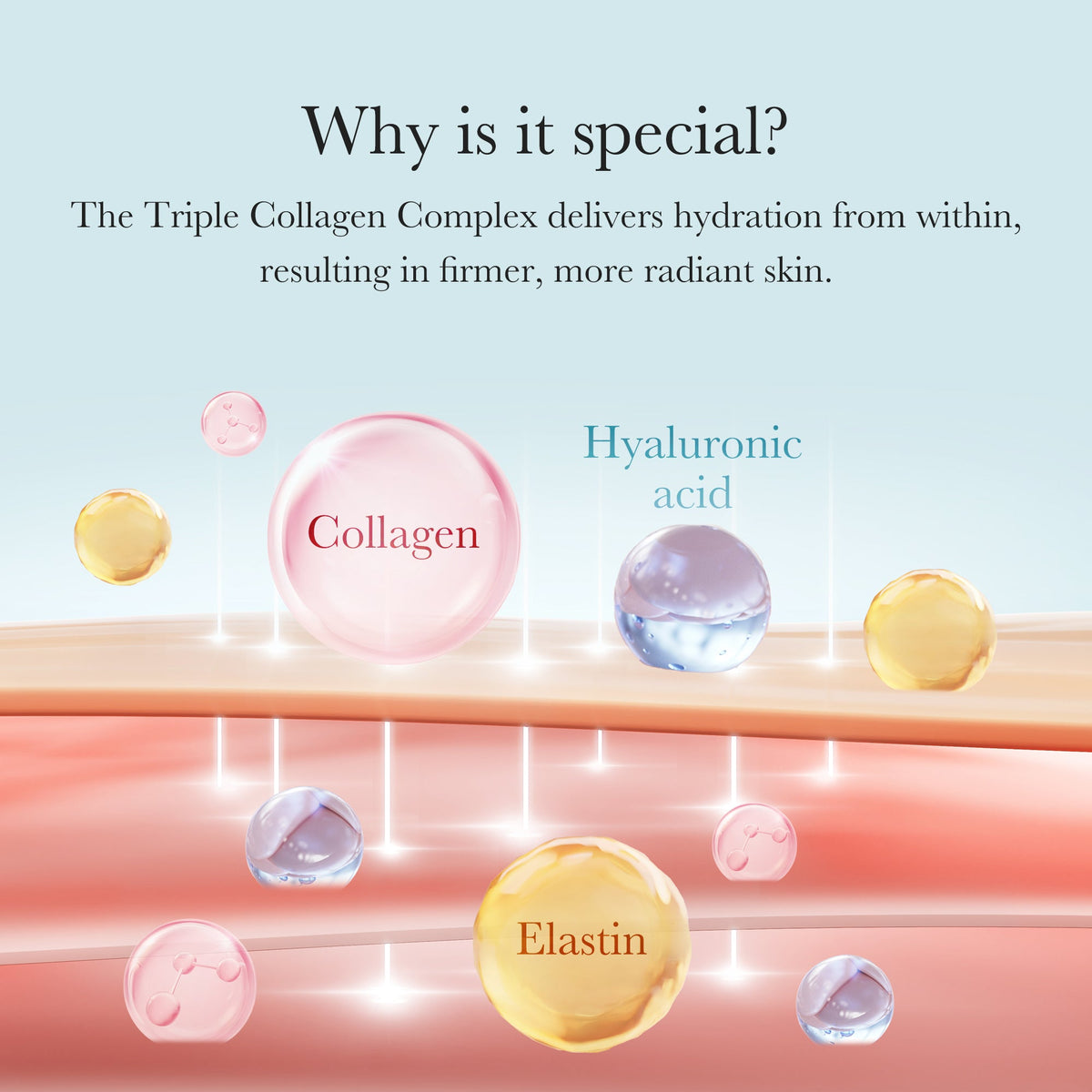 triple-collagen-cream-i5 04_8e4e330d-7d9c-4ff0-93ec-ea541093220c.jpg