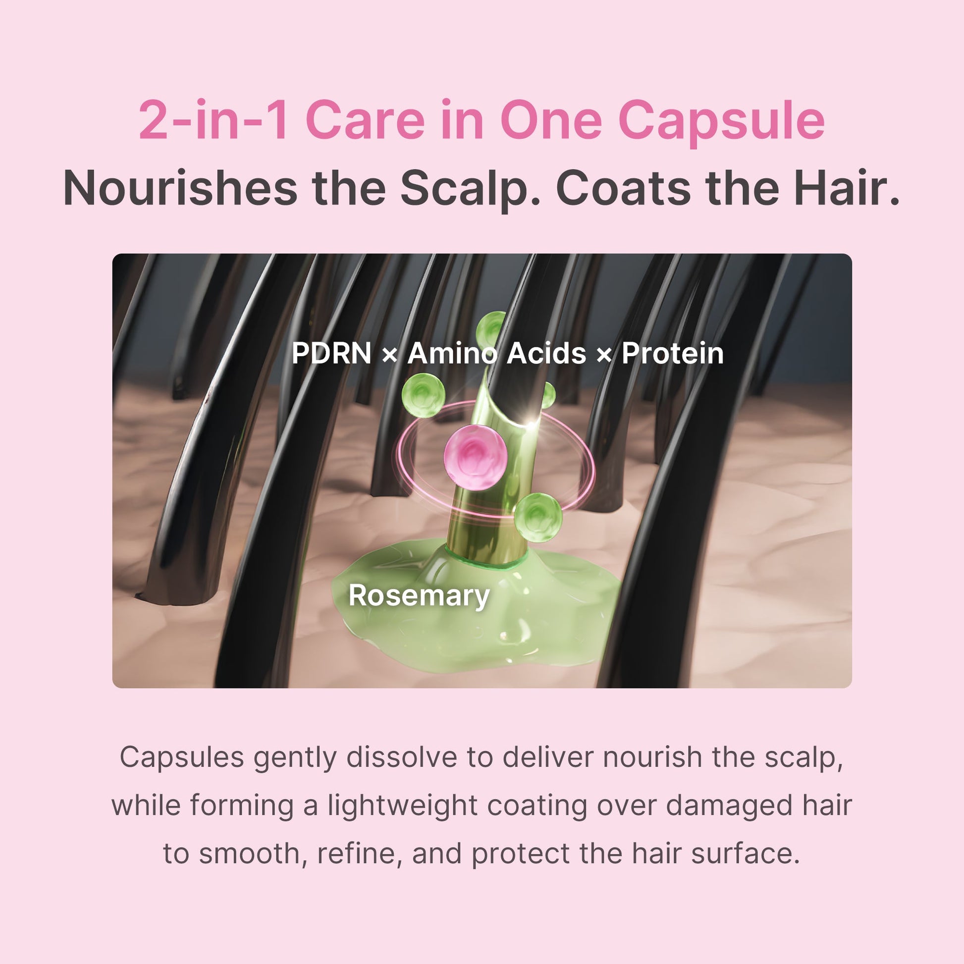 rosemary-pdrn-hair-and-scalp-conditioner-x6 US_ME_RosemaryConditioner_th05.jpg